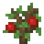 Cherry Sapling icon