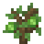 Chestnut Sapling icon