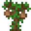 Coconut Sapling icon