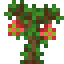 Dragonfruit Sapling icon