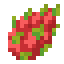 Dragonfruit icon