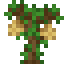 Durian Sapling icon