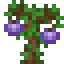 Fig Sapling icon