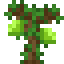 Jackfruit Sapling icon