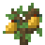 Lemon Sapling icon