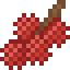 Lychee icon