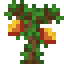 Mango Sapling icon