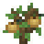 Nutmeg Sapling icon