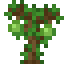 Olive Sapling icon