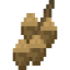 Acorn Fruit icon