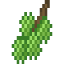 Chestnut Fruit icon