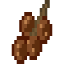 Hazelnut Fruit icon