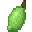 Lime Fruit icon