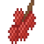 Lychee Fruit icon
