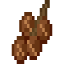 Pecan Fruit icon