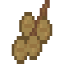 Walnut Fruit icon