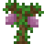 Passionfruit Sapling icon