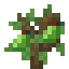 Pawpaw Sapling icon