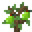 Pear Sapling icon