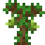 Peppercorn Sapling icon