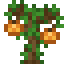 Persimmon Sapling icon