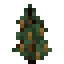 Pinenut Sapling icon
