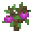 Plum Sapling icon