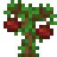 Pomegranate Sapling icon
