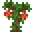 Rambutan Sapling icon