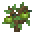 Soursop Sapling icon