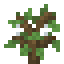 Spiderweb Sapling icon