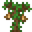 Tamarind Sapling icon