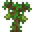 Vanillabean Sapling icon