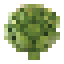 Artichoke icon