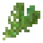 Arugula icon