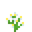 Azure Bluet icon