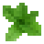 Basil icon