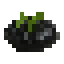 Black Beauty Tomato icon
