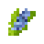 Blue Jade Corn icon