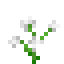 Blue Orchid icon