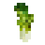 Bok Choy icon