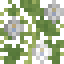 Butterfly Pea icon