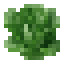 Butterhead Lettuce icon