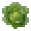 Cabbage icon