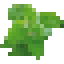 Catnip icon
