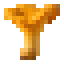 Chanterelle icon