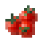 Cherry Tomato icon