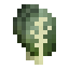 Collard icon