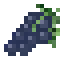 Concord Grape icon