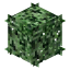 Concord Grape Leaves icon